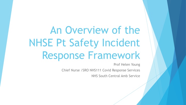 an overview of the nhse pt safety incident