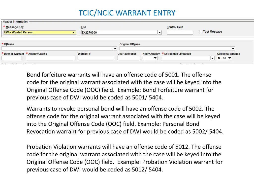 tcic ncic warrant entry 1