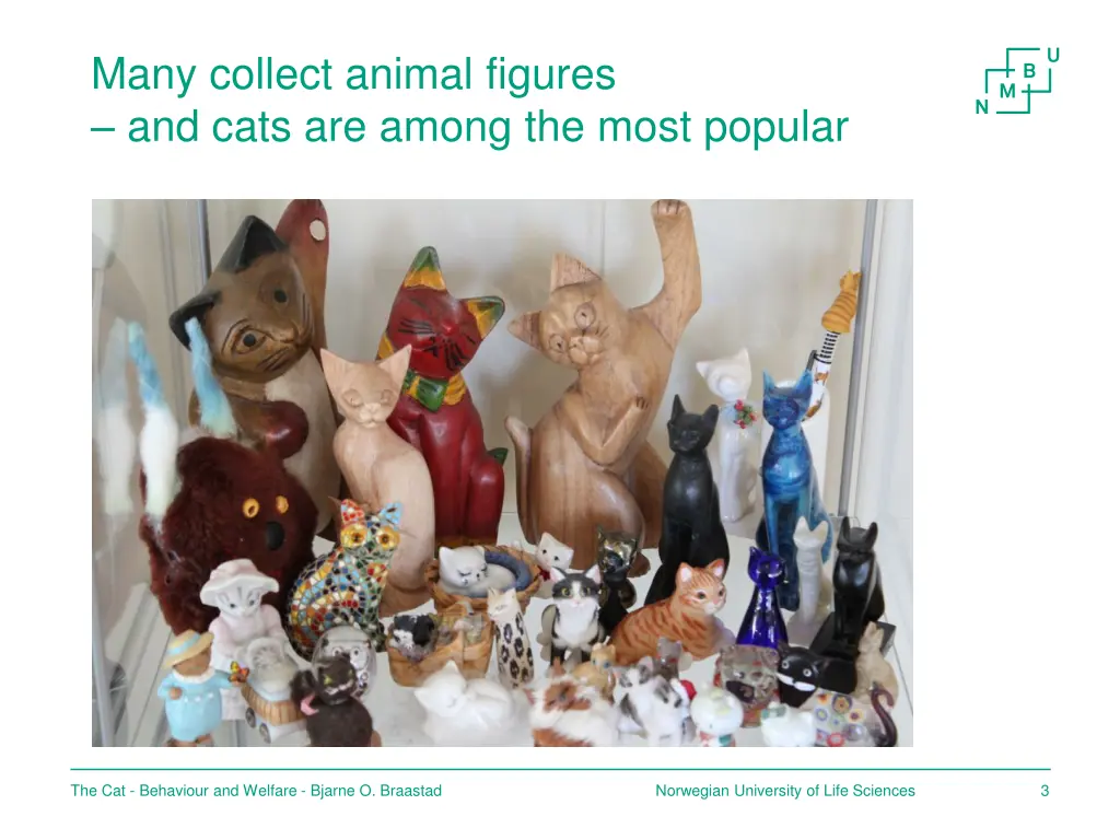 many collect animal figures and cats are among