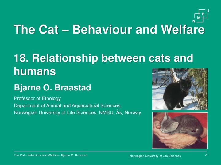 the cat behaviour and welfare