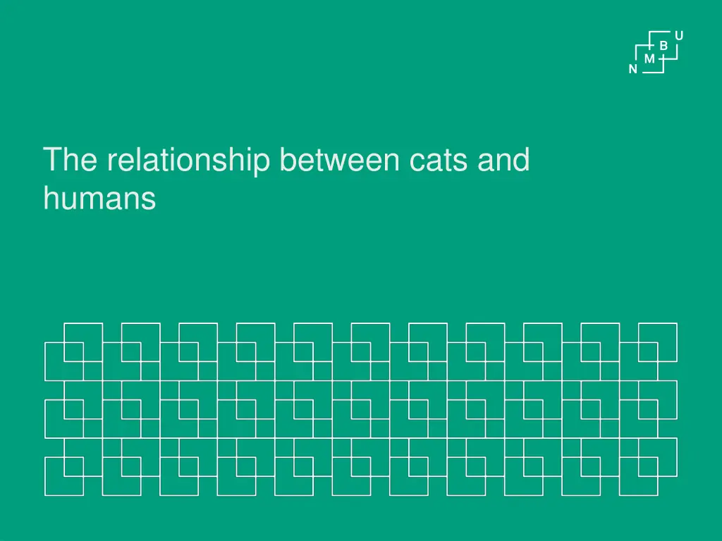 the relationship between cats and humans