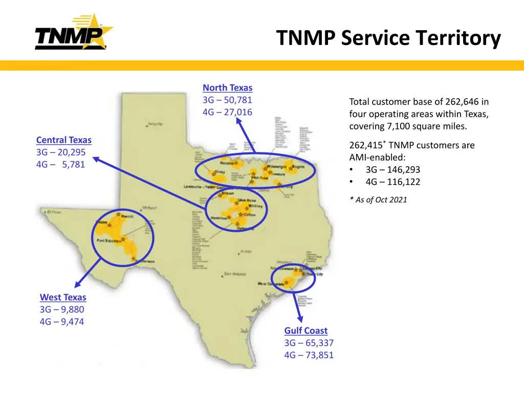 tnmp service territory