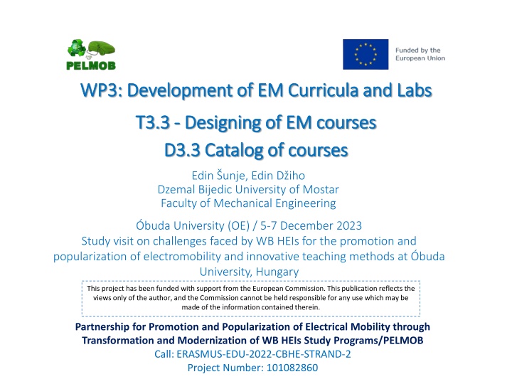 wp3 development of em curricula and labs