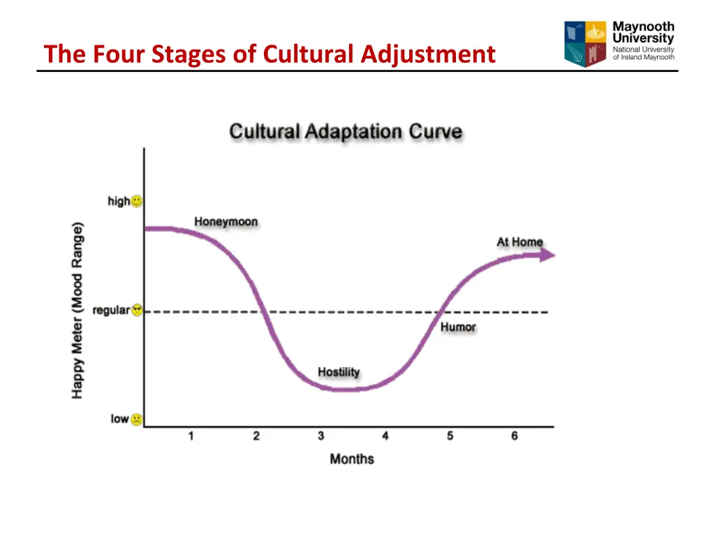 the four stages of cultural adjustment