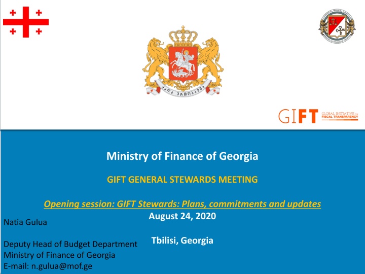 ministry of finance of georgia