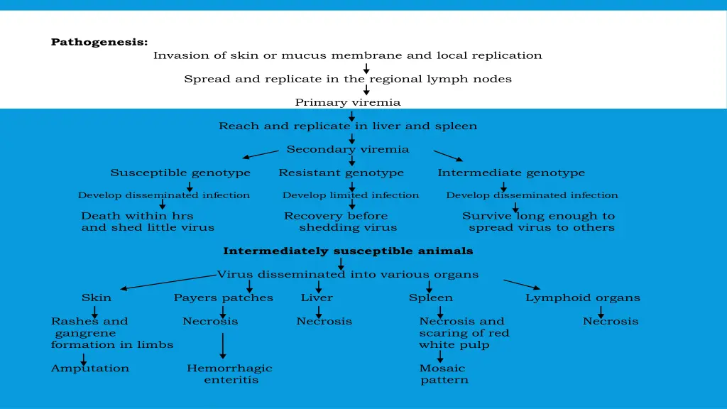 pathogenesis