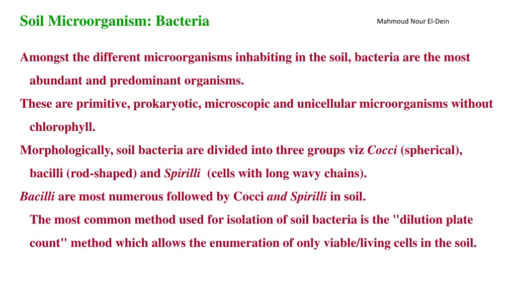 soil microorganism bacteria