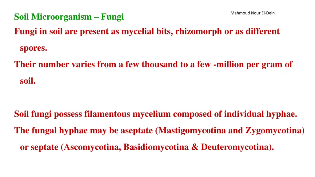 soil microorganism fungi fungi in soil