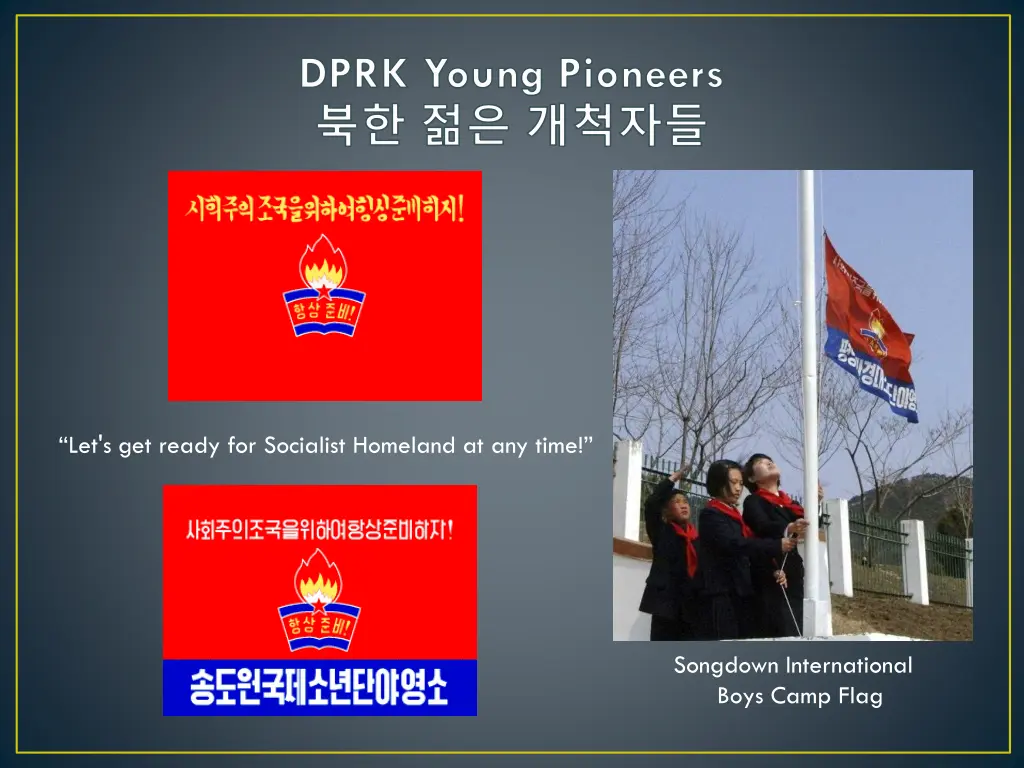 dprk young pioneers