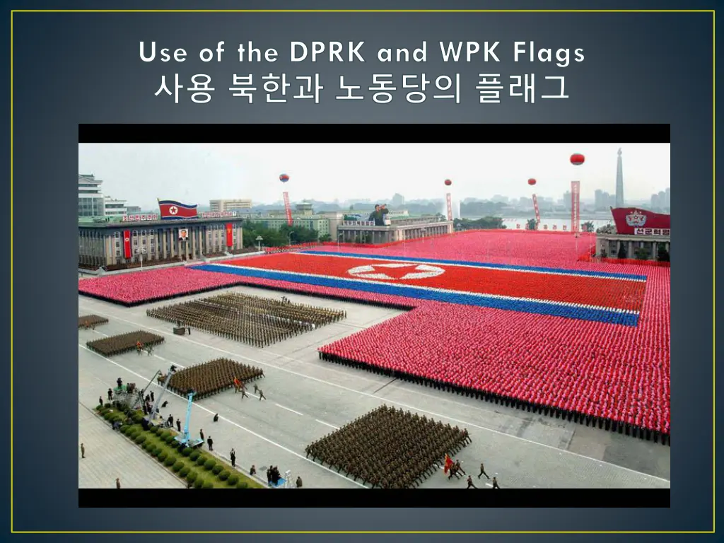 use of the dprk and wpk flags