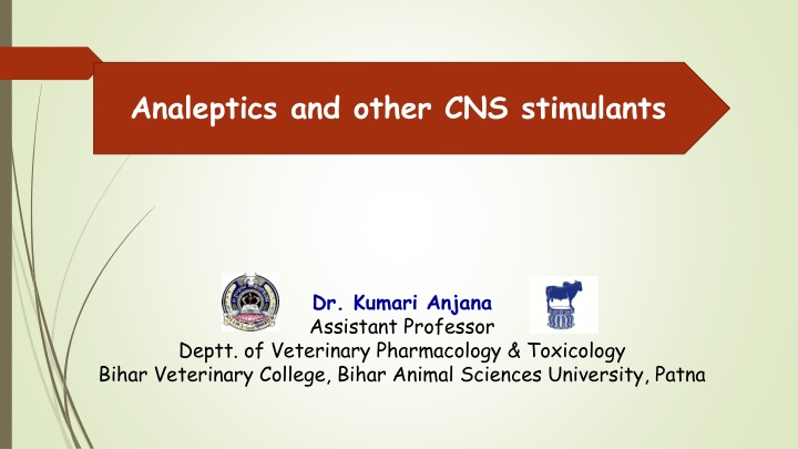 analeptics and other cns stimulants