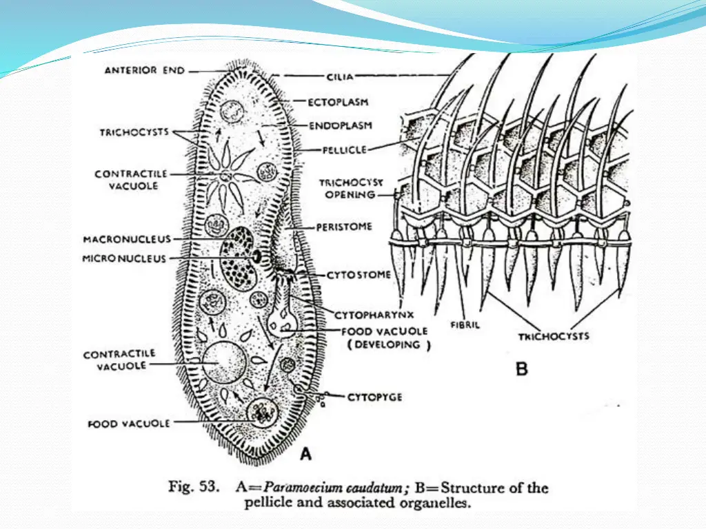 slide4