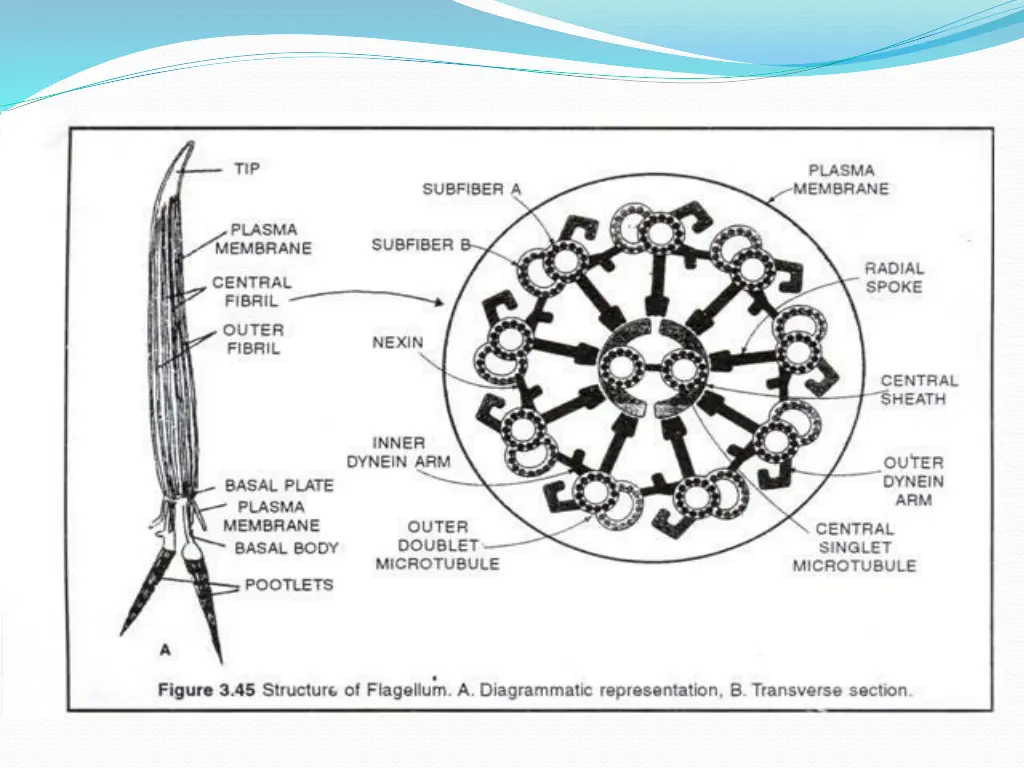 slide8