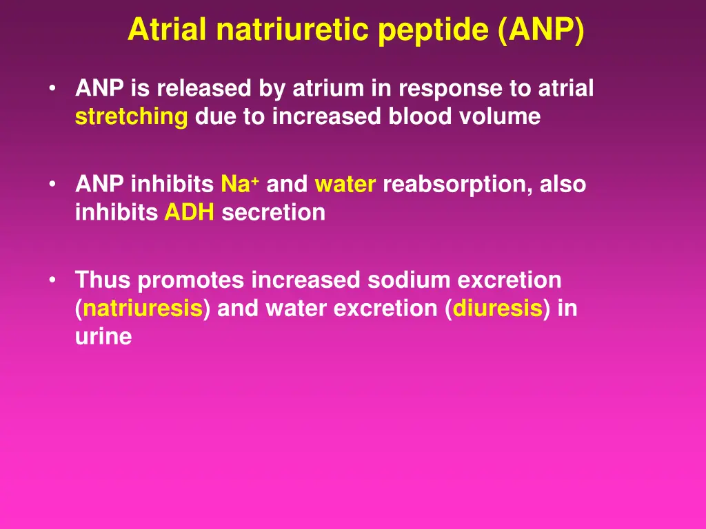 atrial natriuretic peptide anp