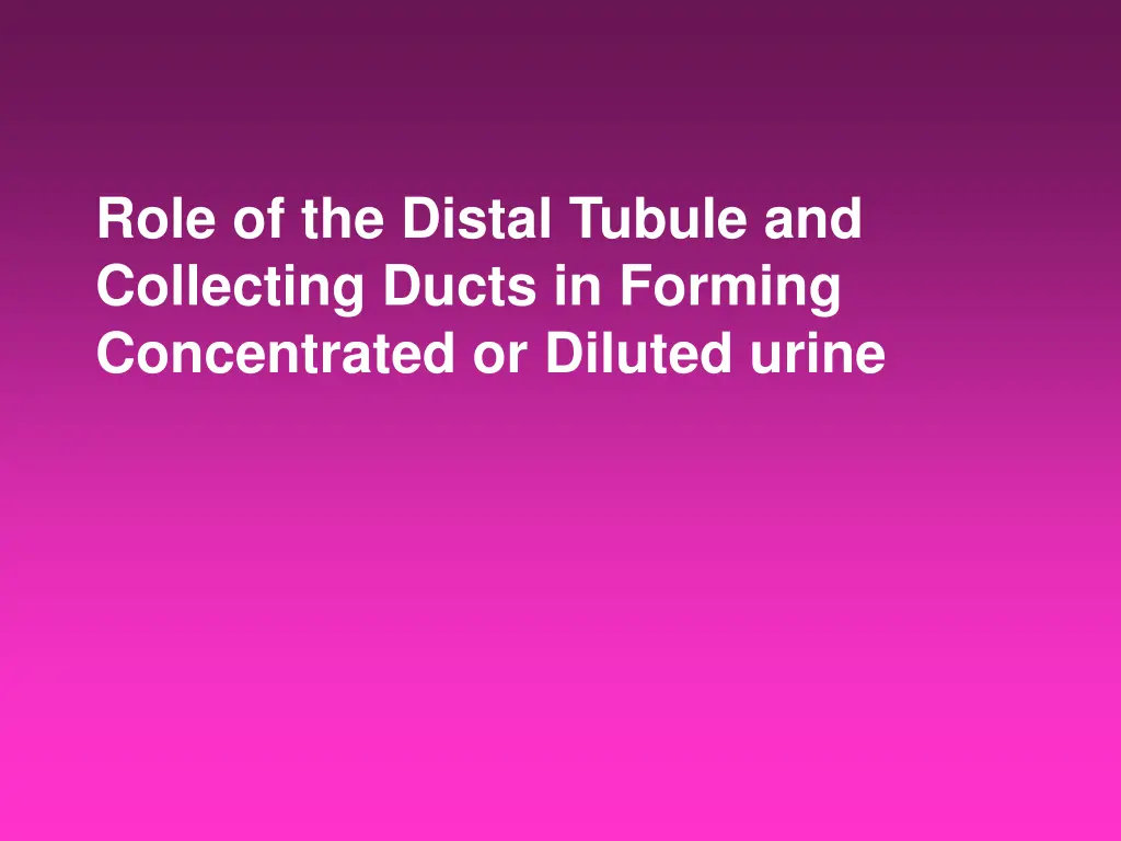 role of the distal tubule and collecting ducts