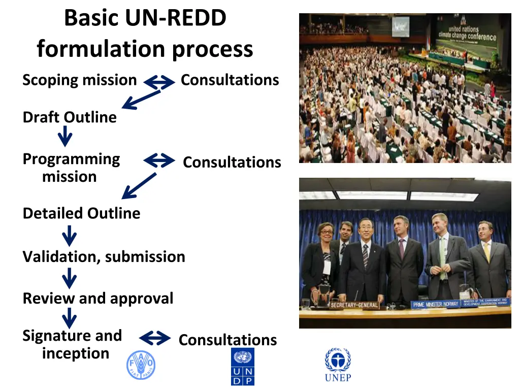 basic un redd formulation process