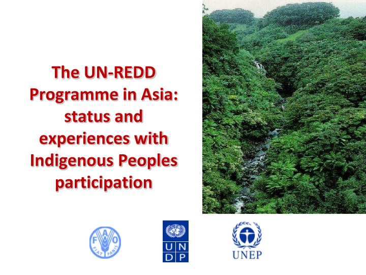 the un redd programme in asia status