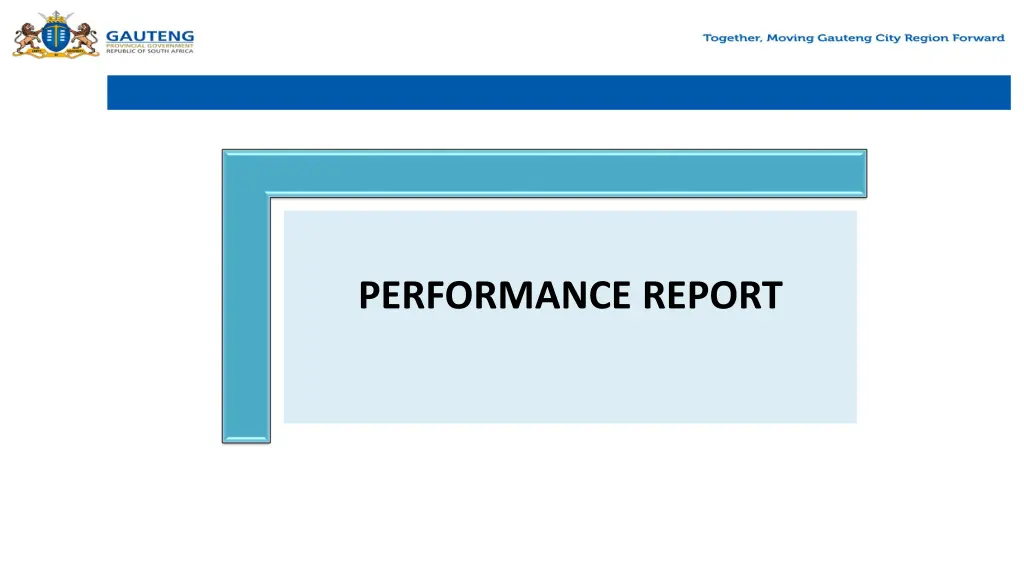 performance report