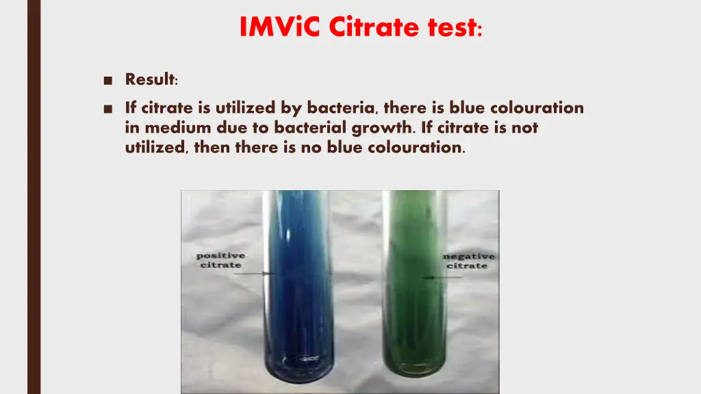 imvic citrate test 3