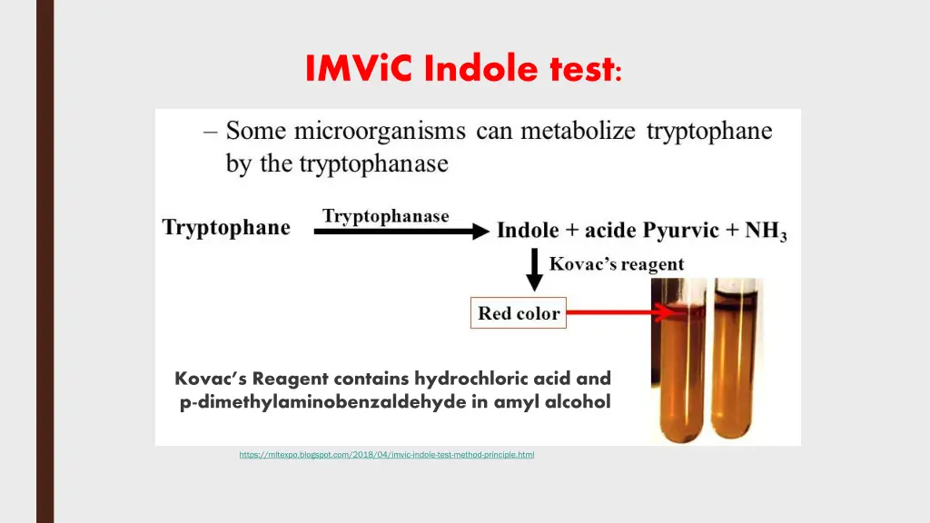 imvic indole test 2