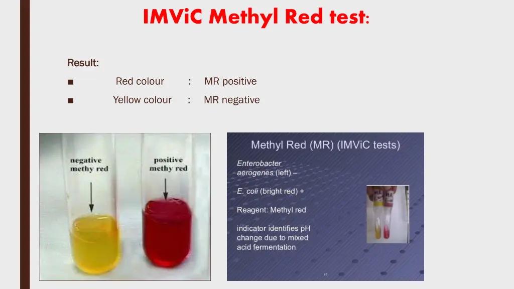 imvic methyl red test 1