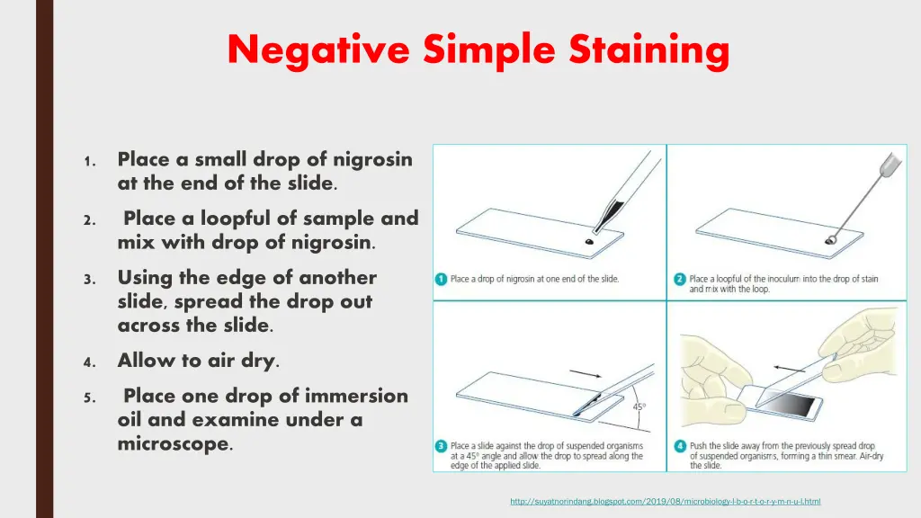 negative simple staining