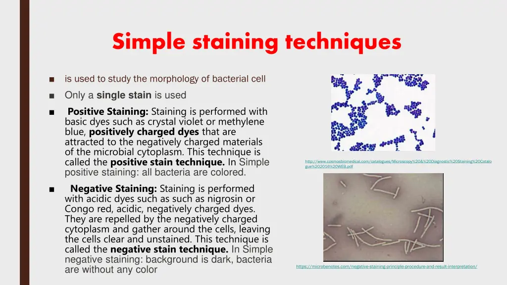 simple staining techniques