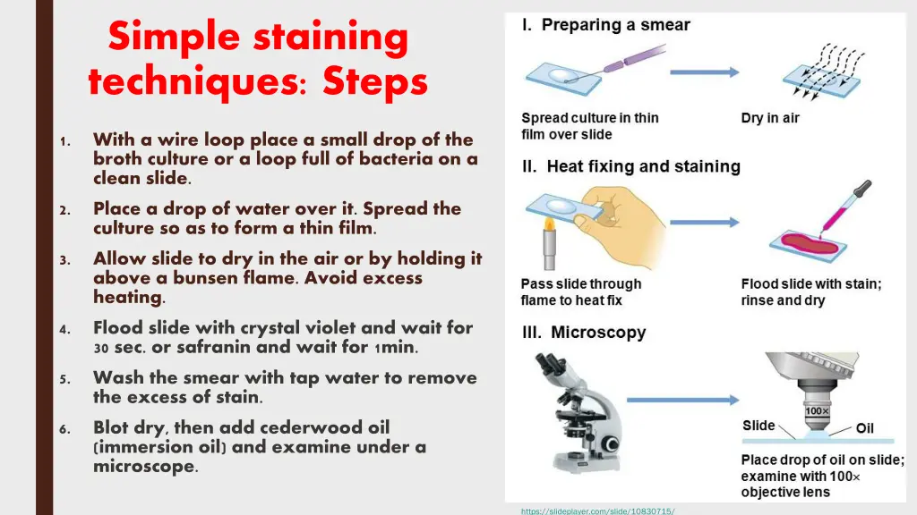 simple staining techniques steps