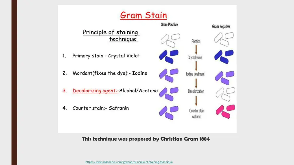 this technique was proposed by christian gram 1884