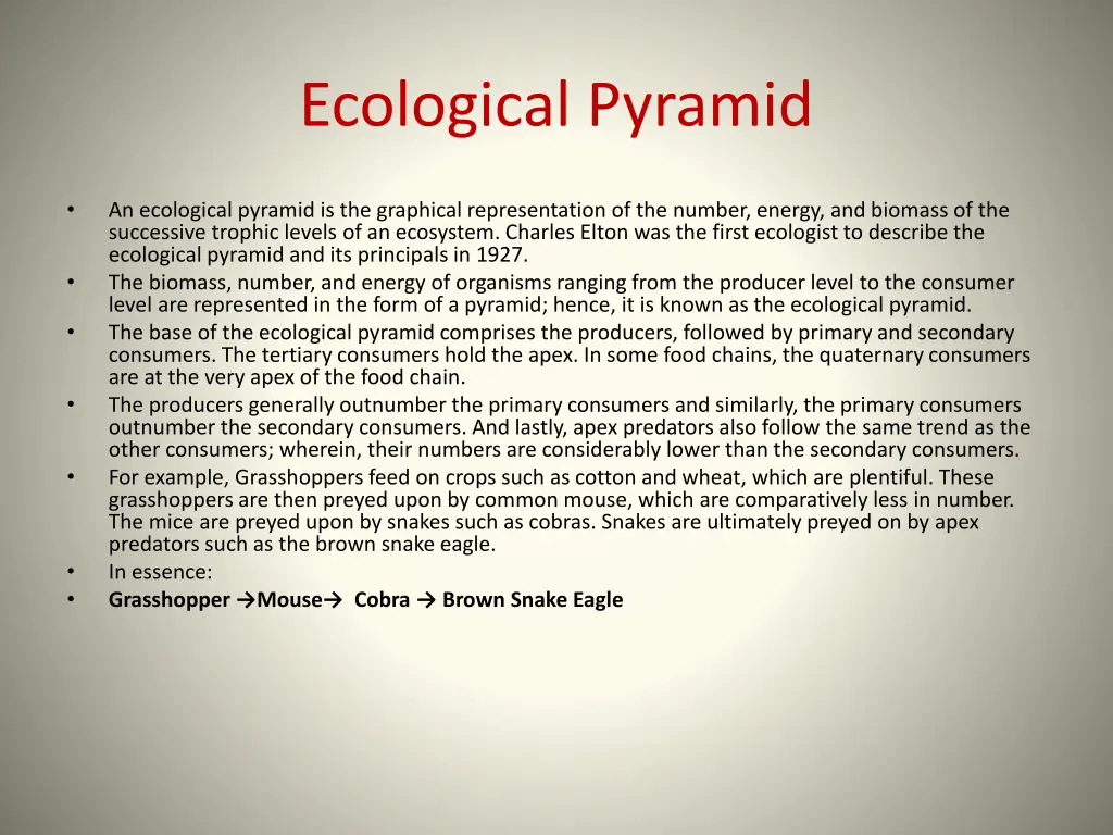 ecological pyramid