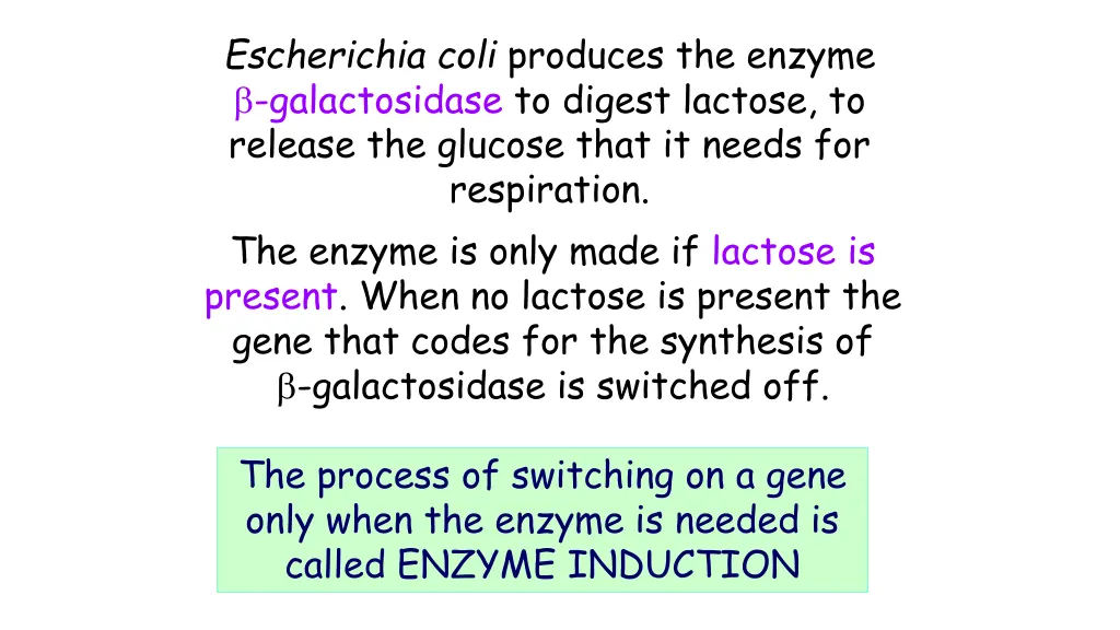 escherichia coli produces the enzyme