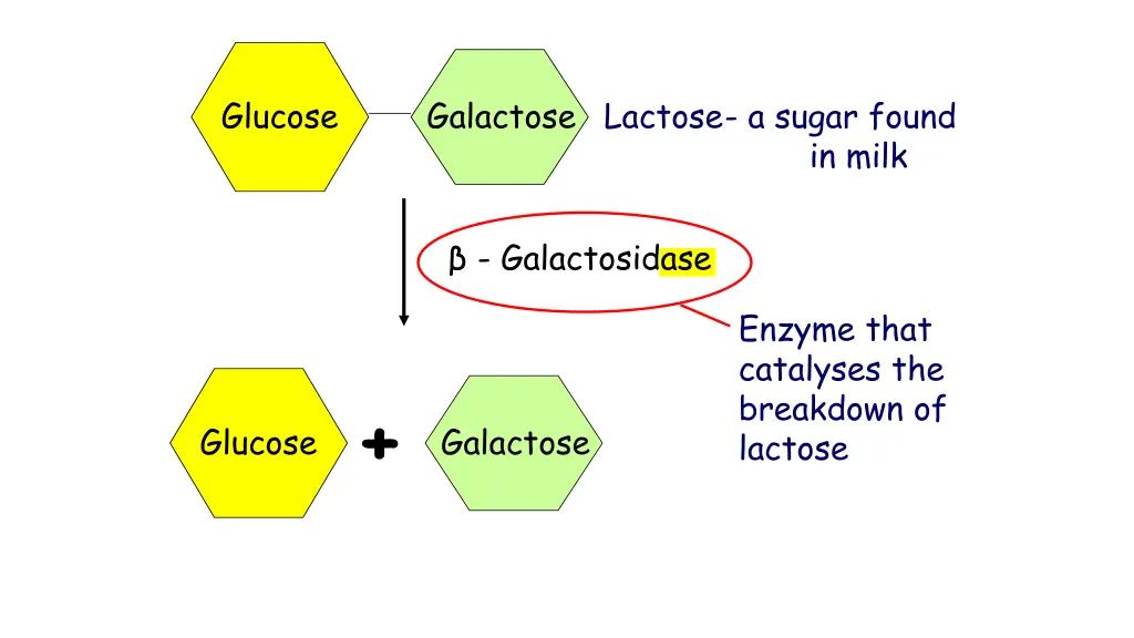 glucose