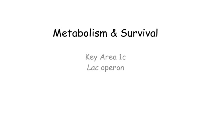 metabolism survival