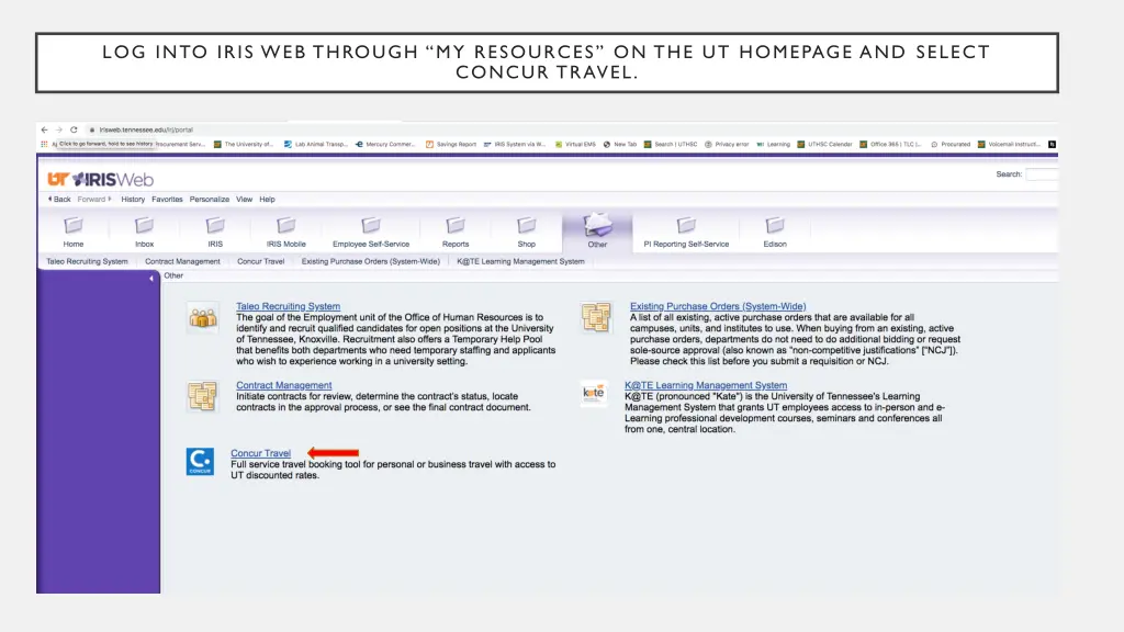 log into iris web through my resources