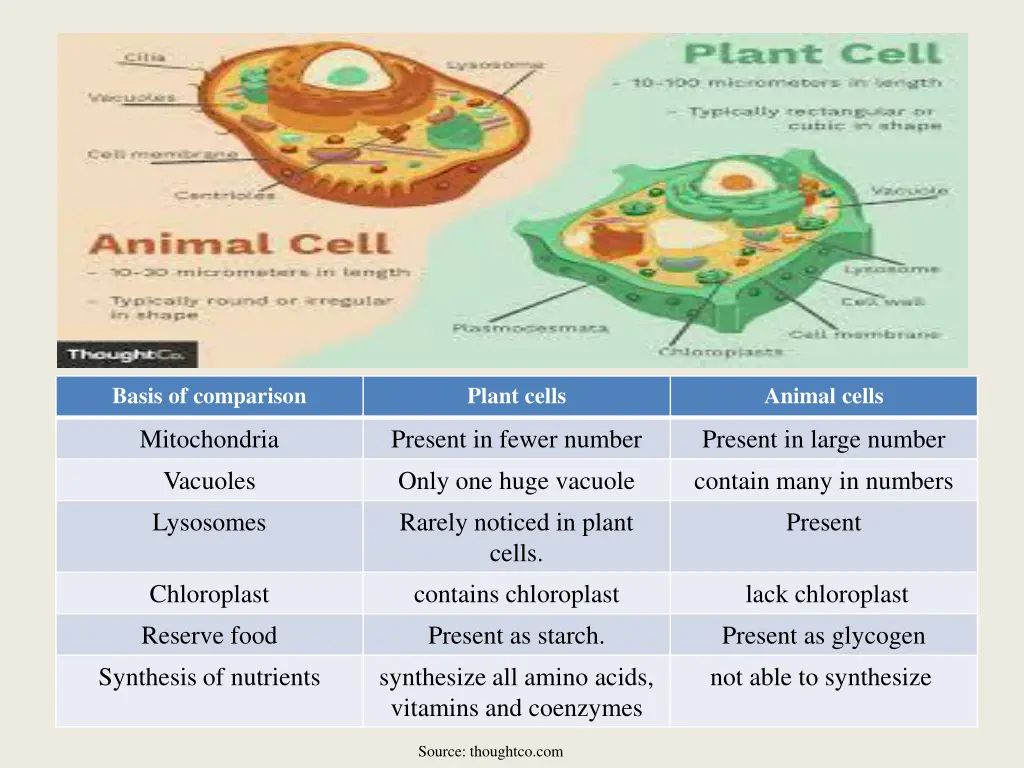 basis of comparison