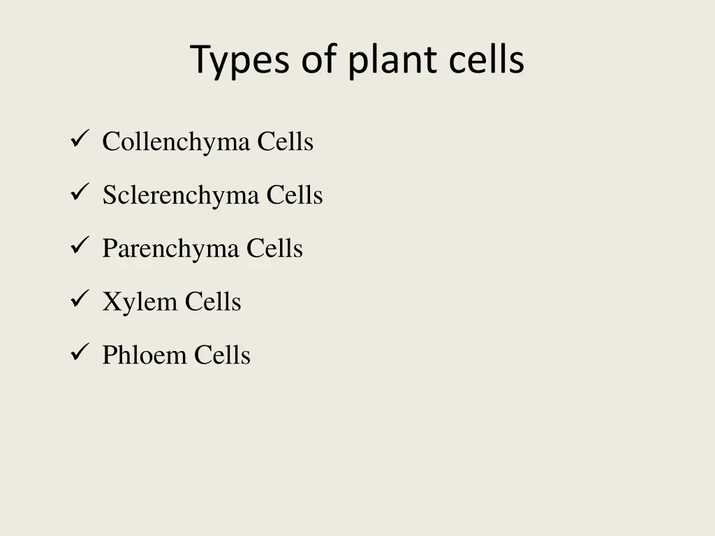 types of plant cells