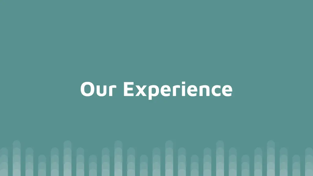 our experience 1