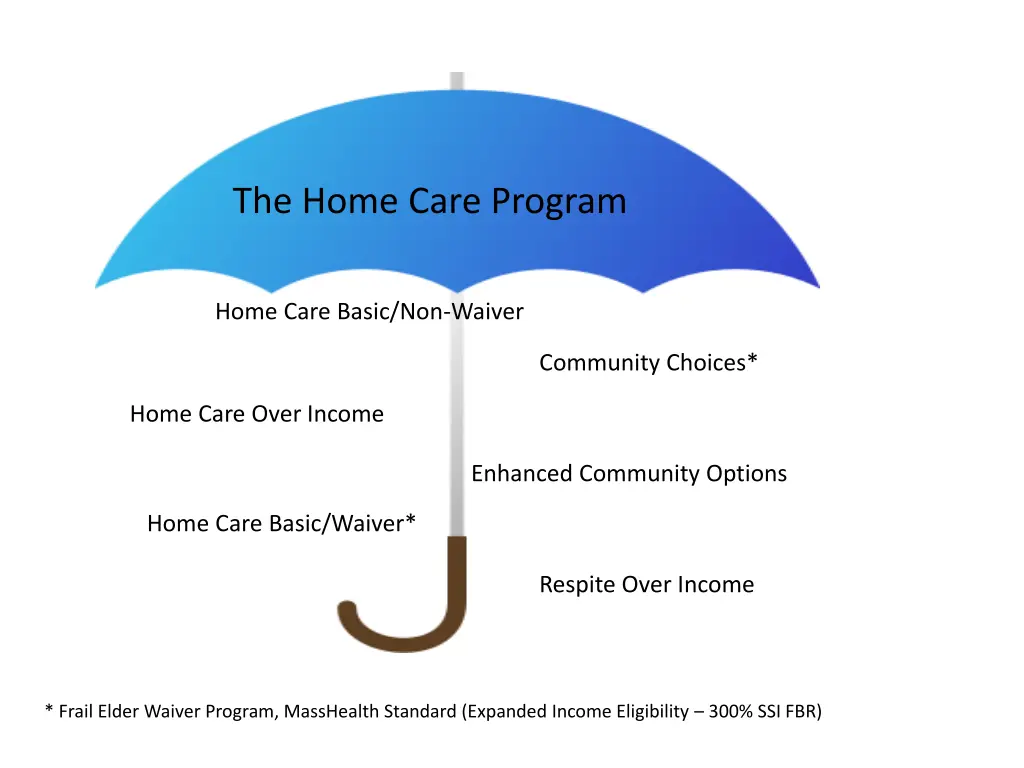 the home care program