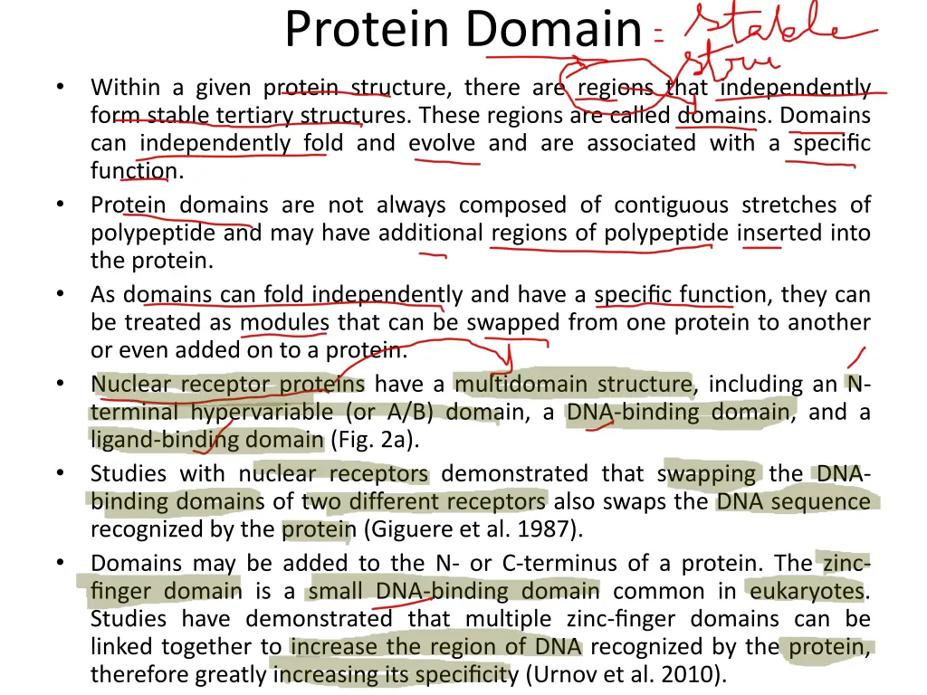 protein domain