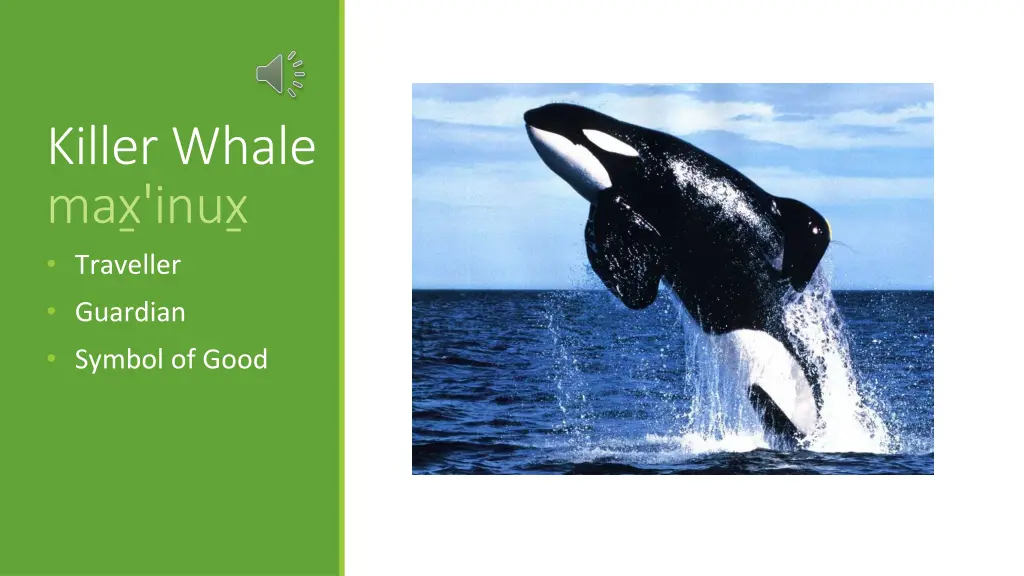 killer whale max inux