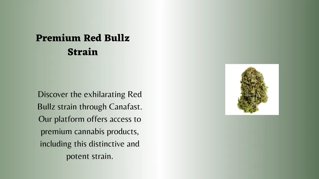 premium red bullz strain