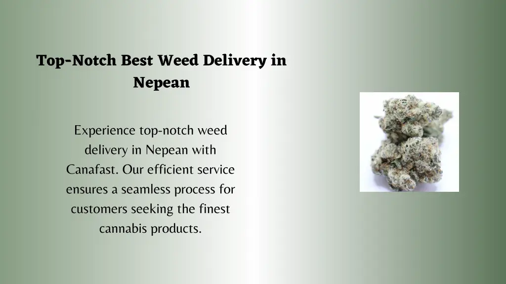 top notch best weed delivery in nepean