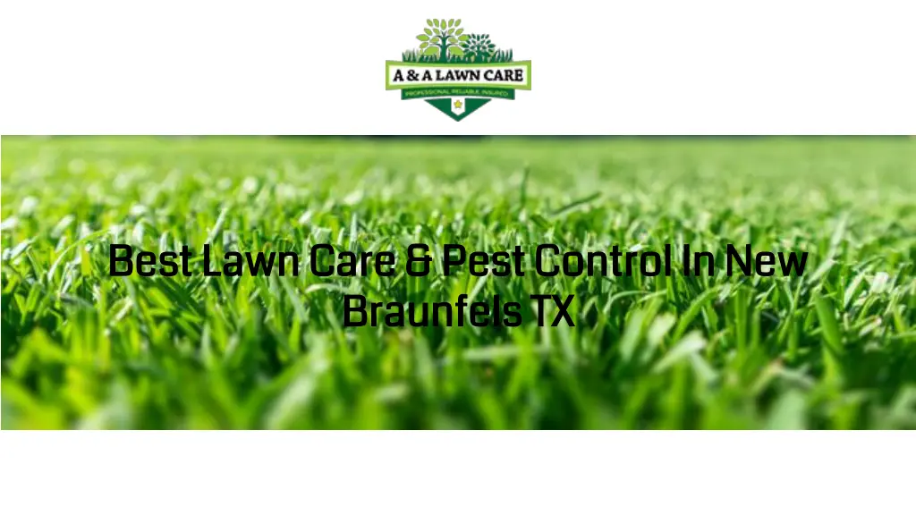 best lawn care pest control in new best lawn care