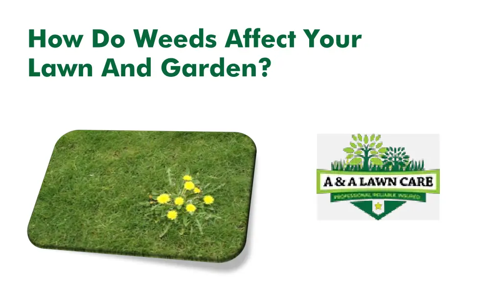 how do weeds affect your lawn and garden