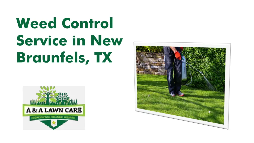 weed control service in new braunfels tx