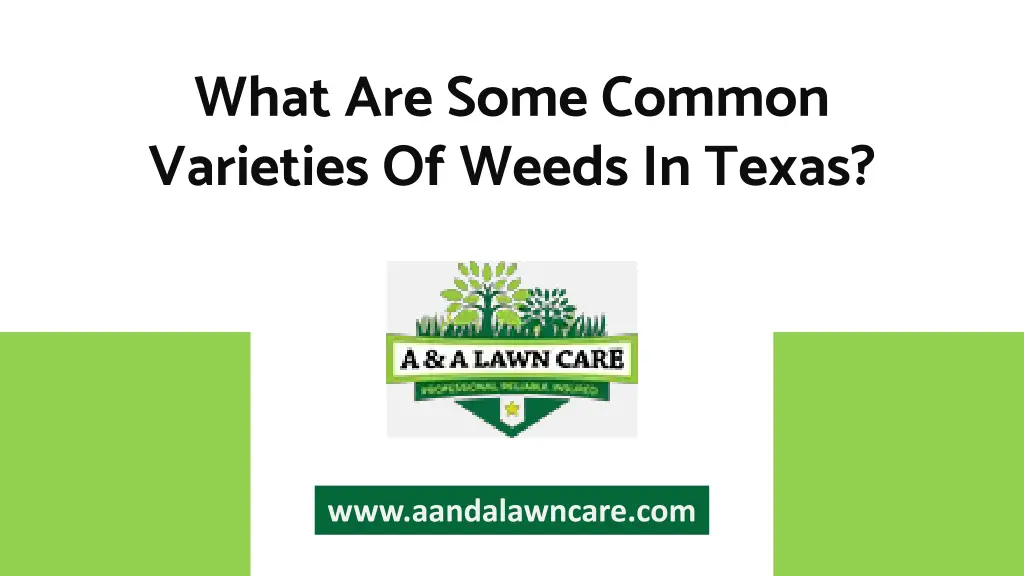 what are some common varieties of weeds in texas