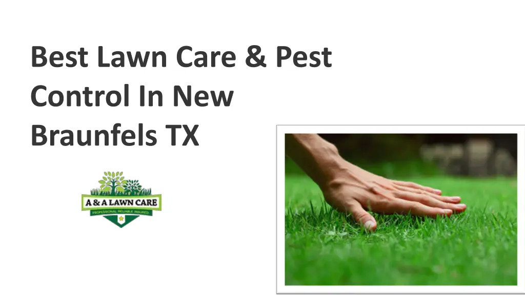 best lawn care pest control in new braunfels tx