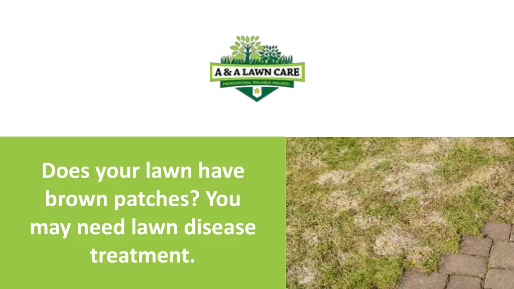 does your lawn have brown patches you may need