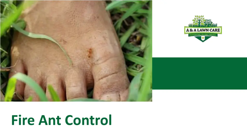 fire ant control