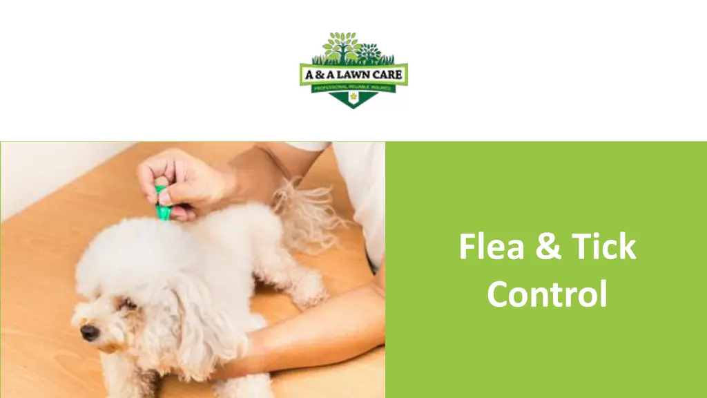 flea tick control